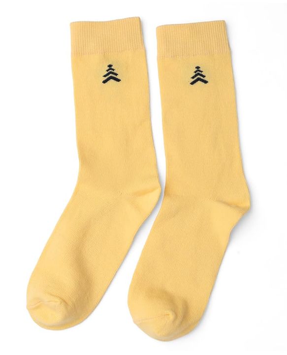 Pine Kids Cotton Knit Mid Calf Length Solid Socks Pack Of 5 - Blue Green Yellow Purple & Plum