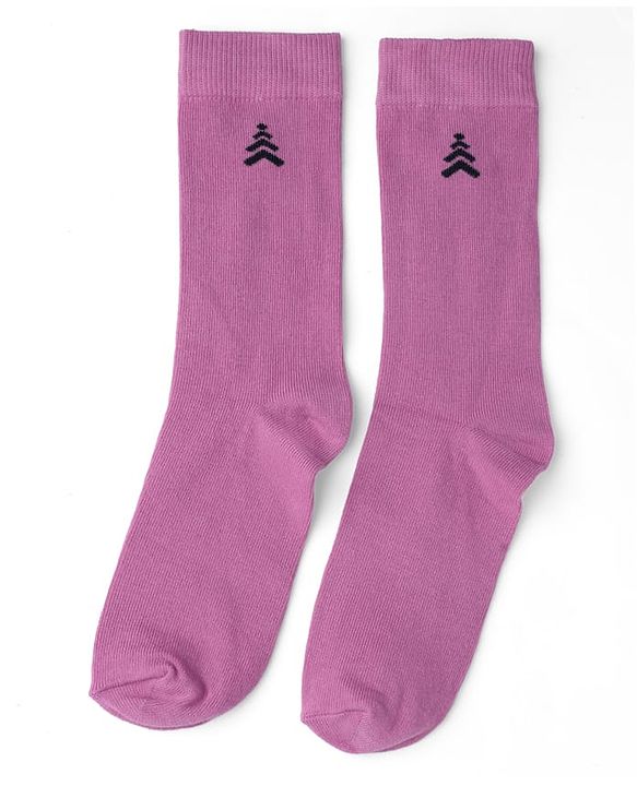 Pine Kids Cotton Knit Mid Calf Length Solid Socks Pack Of 5 - Blue Green Yellow Purple & Plum