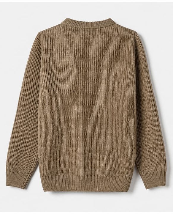 Pine Kids Solid Pullover with Full Sleeves in Beige