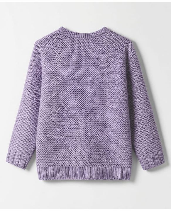 Pine Kids Pullover with Full Sleeves and Floral Embroidery in Lilac
