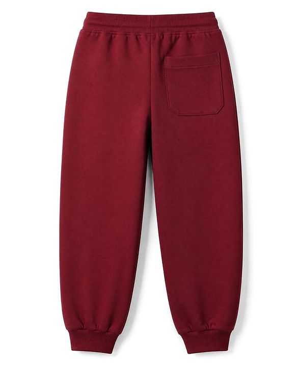 Pine Kids Fleece Knit Full Sleeves Hooded Winter Wear Suit With Text Print - Red