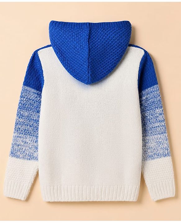 Pine Kids Cotton Blend Knit Full Sleeves Hooded Front Open Sweater With Cable Knit Design - Blue