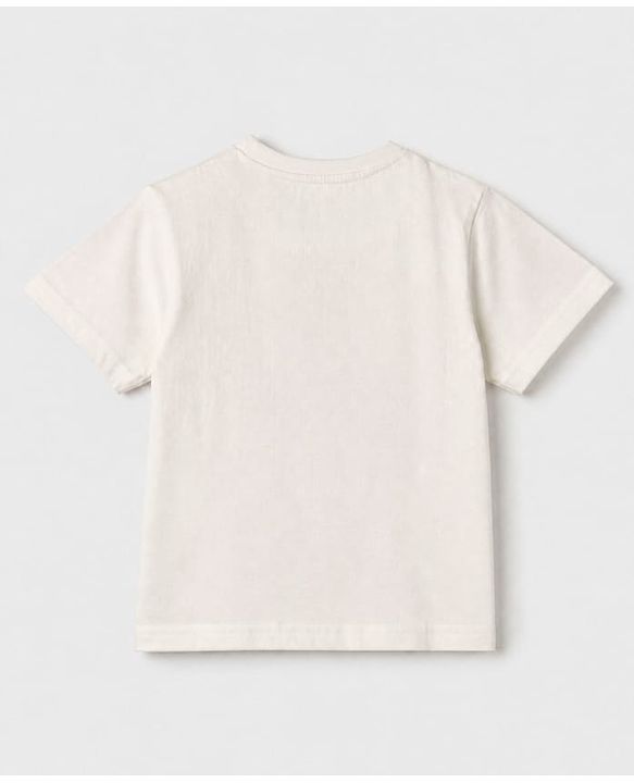 Pine Kids 100% Cotton Knit Half Sleeves T-Shirt and Shorts with Landscape Rules Print & Bio Washed in White