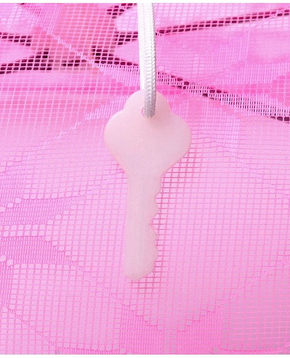 Babyhug Portable Baby Mosquito Net Small - Pink