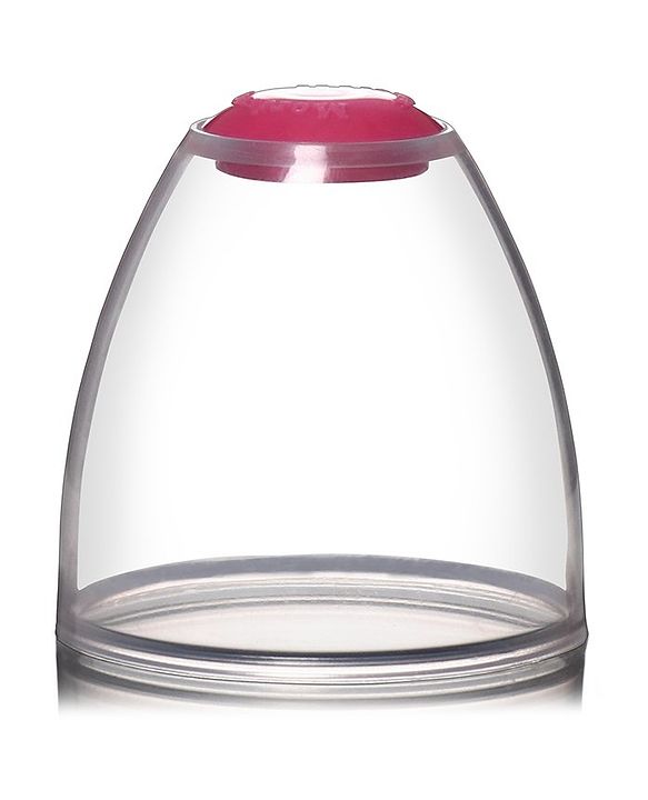 Babyhug Standard Neck Glass Feeding BottlePink - 250 ml