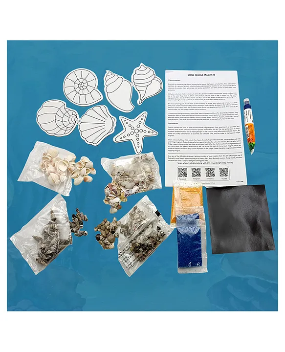 Toy Kraftt Shell Fridge Magnets – Buy Online in Jordan