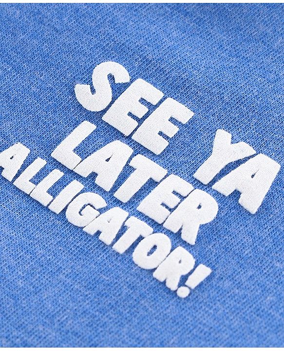 Babyhug Half Sleeves Anti Bacterial Biowashed Tee - Blue