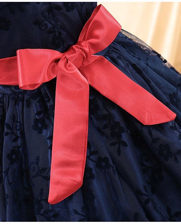 Babyhug Sleeveless Party Wear Embroidered Frock with Corsage - Navy Blue