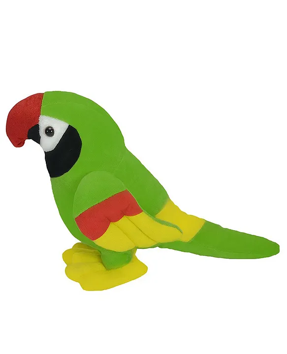 parrot teddy