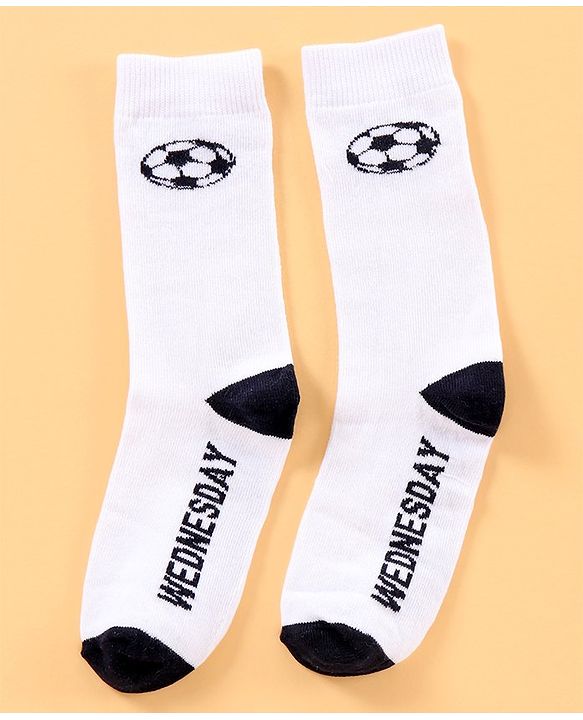 Pine Kids Mid Calf Length Anti-Microbial Socks Pack Of 6 - Blue Grey