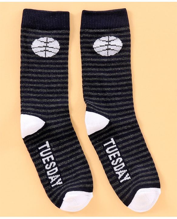 Pine Kids Mid Calf Length Anti-Microbial Socks Pack Of 6 - Blue Grey