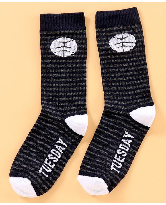 Pine Kids Mid Calf Length Anti-Microbial Socks Pack Of 6 - Blue Grey