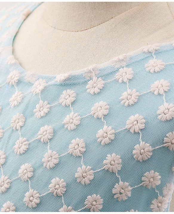 Pine Kids Sleeveless Frock with Nylon Mesh Embroidery All Over - Blue