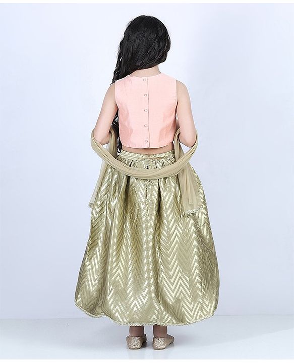 Pine Kids Sleeveless Choli & Lehenga With Dupatta Set Embroidered - Peach & Golden