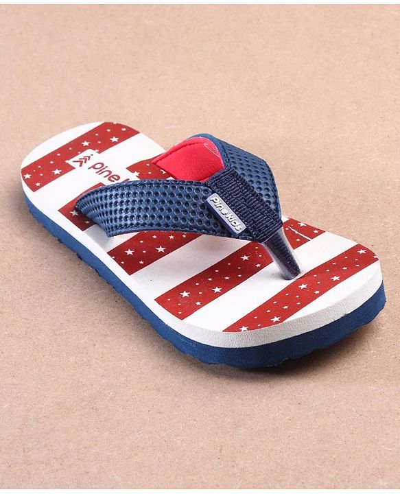 Pine Kids Casual Flip Flops - Multicolor