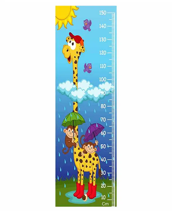 WENS Wall Height Chart Multicolour Online in India, Buy at Best