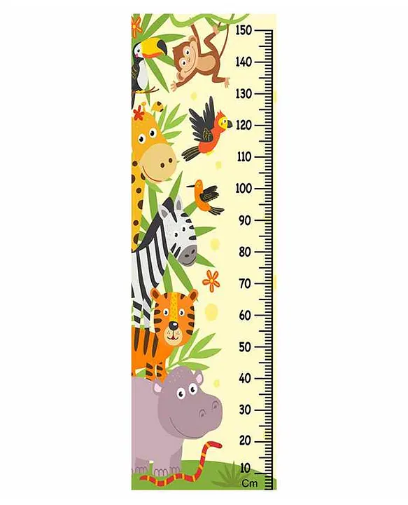 WENS Wall Height Chart Multicolour Online in India, Buy at Best