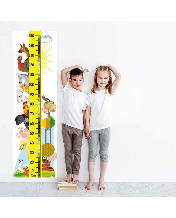 WENS Wall Height Chart Multicolour Online in India, Buy at Best