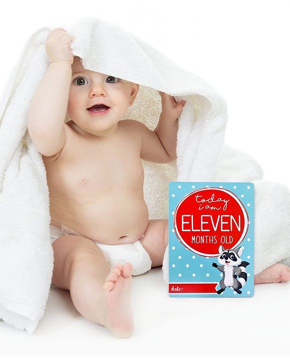 Babyhug Baby Milestone Cards - English