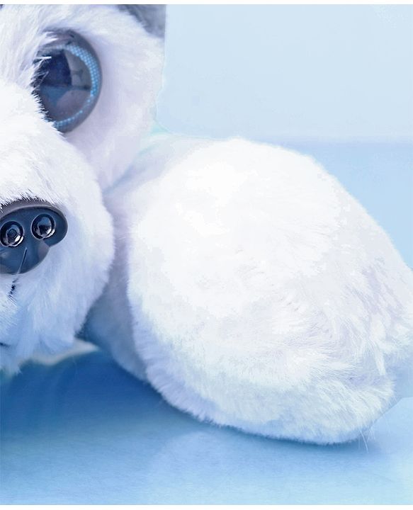 Babyhug Sleeping Husky Dog Soft Toy Multicolor - Length 55 cm