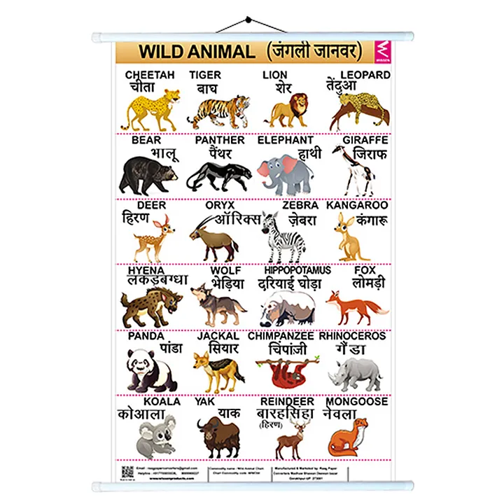 Wild Animals Pictures Chart