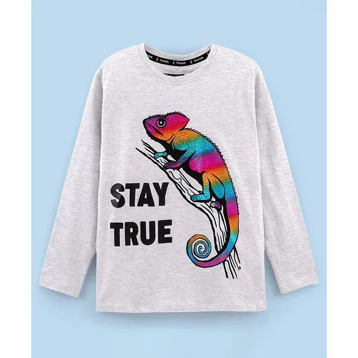 Buy Pine Kids Full Sleeves Biowashed TShirt Chameleon & Text Print