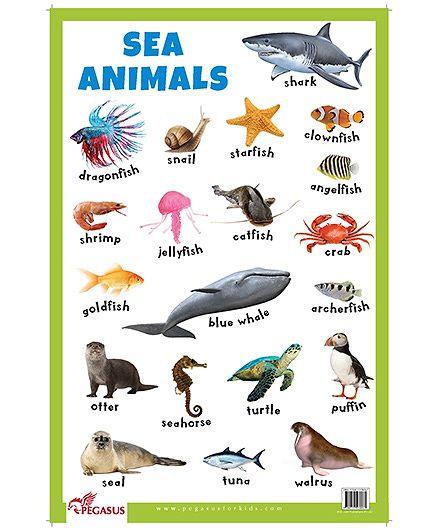 Animals Images Chart
