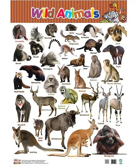 Wild Animals Pictures Chart