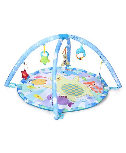 winfun polar fiesta gym