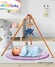 Intellibaby Premium Wooden Baby Activity Gym | Easy to Assemble Play Gym for Infants & Babies | Early Development, Sensory Skills, Safe Play | Paediatrician Approved | BIS Certified | Ideal for Gifting
