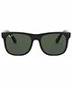 Ray-Ban Junior Sunglasses Sunglass With Black Frame & Green Lens