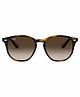 Ray-Ban Junior Sunglasses Unisex Sunglass With Havana Frame & Brown Gradient Lens
