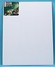 Camel Canvas Board - White