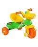 Sunbaby Splash Tricycle SB-760 - Green