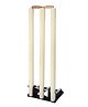 Toyshine Wooden Stumps Set With Heavy Duty Spring Stand Base (Color Vay Mary)