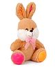 Fiddlerz Bunny Plush Toy Multicolour - Height 36 cm