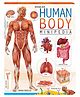 Human Body Minipedia Knowledge Encyclopedia For Children, Encyclopedia Book for Kid, Heart, Circulatory, Brain & Nervous System | Books for kids | 48 Pages | Paperback