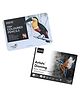 Brustro Artists' Colour Pencil With Drawing Glued Pad - 24 Pages