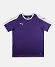 PUMA Half Sleeves LIGA Jersey Jr - Prism Violet