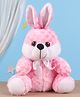 IR Sitting Rabbit Checks Print Pink - Height 30.5 cm