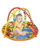 FunBlast My First Play Gym with Hanging Rattles - Color May Vary