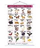 Wissen Domestic Animals Roller Wall Chart - English Hindi