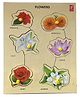 Wooden Flower learning Educational Knob Tray - 6 Pieces 
