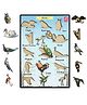 WISSEN Wooden Birds Learning Educational Knob tray Multicolor - 15 Pieces