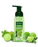 Palmolive Hydrating Foaming Lime & Mint Liquid Hand Wash - 250 ml 