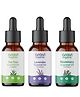 Aravi Organic 100% Pure Tea Tree, Lavender & Rosemary Essential Oil for Healthy Hair Skin For Women & Men (Pack of 3)