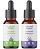 Aravi Organic Tea Tree & Lavender Essential Oil For Healthy Hair and Skin - For Women & Men (Pack of 2)