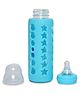 DOMENICO Glass Feeding Bottle Blue - 240 ml