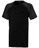 PUMA Half Sleeves Evostripe Tee - Black