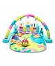 SANISHTH Multi Function Play Gym With Toy Bar - Multicolor